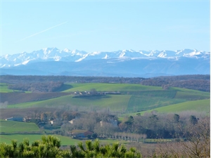 maison de maitre à la vente -   11420  CAHUZAC, surface 280 m2 vente maison de maitre - UBI427101137